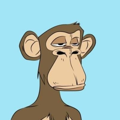 Maximdidierr_cl's profile picture. 