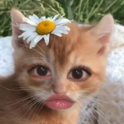 やっと復職しました😓おまたせ😓