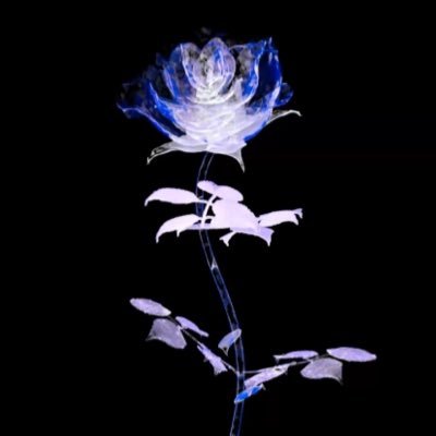 rlonpi_pi's profile picture. rionhi°*･゜ﾟ･*:.｡..｡.:*･'/// VJ | Graphic | Motion Design | 3DCG | ♡♡♡