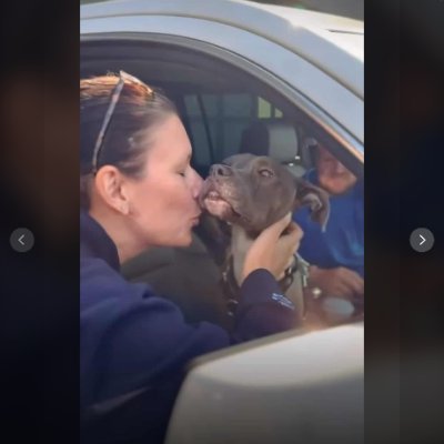 Cherylk10383454's profile picture. Artist ⭐