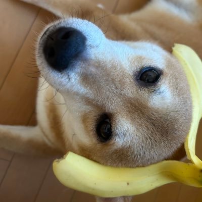 makaro__2's profile picture. UVERworld 虎党🐯#valorant