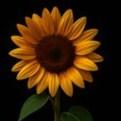 krisleeesanch's profile picture. 