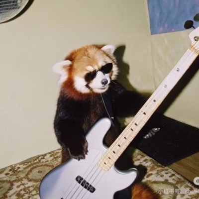 Ann1374824's profile picture. 🌈Furry Artist | BL Enthusiast
     小动物画师  会有男性向内容
✨ Versatile styles from fluffy to spicy  
中文🇨🇳丨English