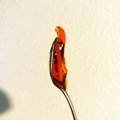 Meemee_nakuzo's profile picture. 20↑ 🔰なんでも絵を載せる用。☀️🧩/🐹🦊中心。