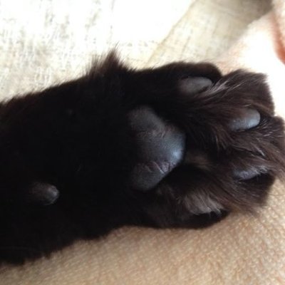 ainakhussain's profile picture. 