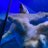 Rokubungi_yash1