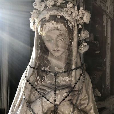 Mama1435146's profile picture. 