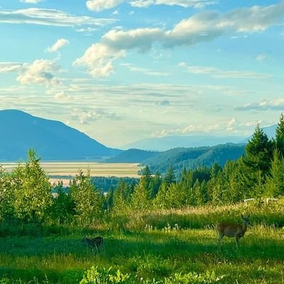 hung88_hun20044's profile picture. 