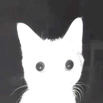Honeyjinx09's profile picture. ⚫👄⚫