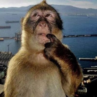 joojosue77's profile picture. I lost my last account