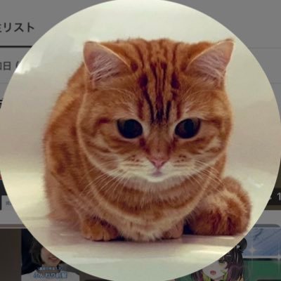 rika_shumiaka's profile picture. 