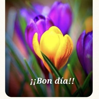 TorresAlba15744's profile picture. 