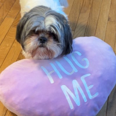 CarmenS45679267's profile picture. “Emancipate yourselves from mental slavery“ -BobMarley 🇯🇲🇯🇲🇯🇲