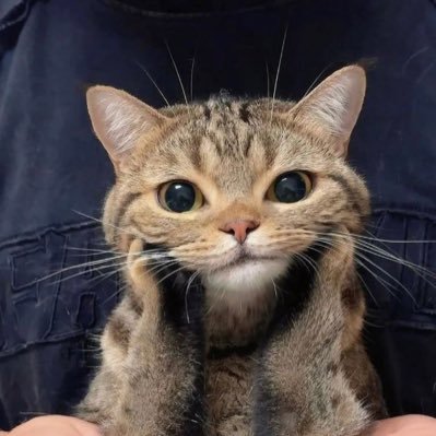 3KTUnQ4iffhWgf1's profile picture. 