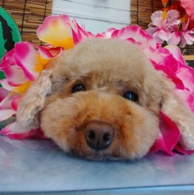 agu_bmsglove's profile picture. BE:FIRST🎁
MAZZEL Naoya💖
STARGLOW💫Adam🐨
MAZZEL RSF TOUR 5/6
米百俵フェス 5/24
君がトクベツ映画6/20
BMSGフェス25  9/28
BEFIRSTファンミ新潟1/17