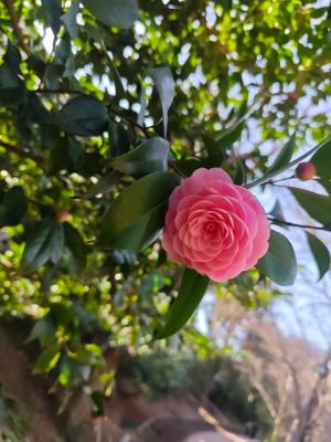 ckutDnaazA19339's profile picture. 