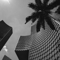 Tatler (@tatler) 's Twitter Profile