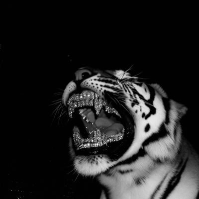 bigblvc's profile picture. 🕊 it’s not truth that matters but victory🕊