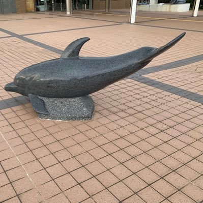 iku_itu76674's profile picture. 