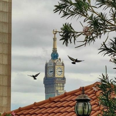 lLuqman_2's profile picture. التجاهل الدائم ،،  أفضل من خطأ الإهتمام / بمن لا يستحق !....♡♡..
