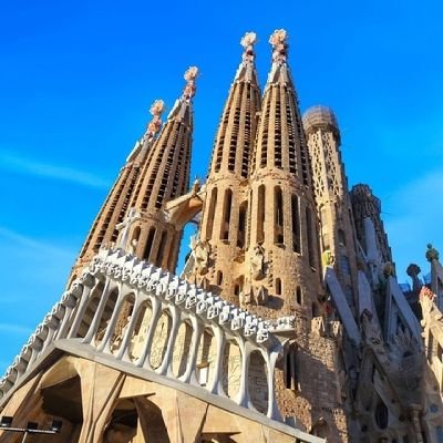 meenbobs's profile picture. 