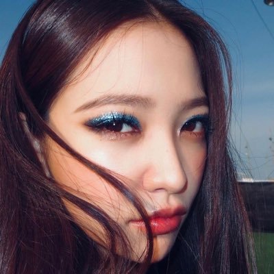 dictyostelida's profile picture. retired from sad, new career in business