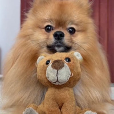 daniapolonar's profile picture. 