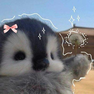 sazurakirei's profile picture. Becoming a successful woman in my own way🦋