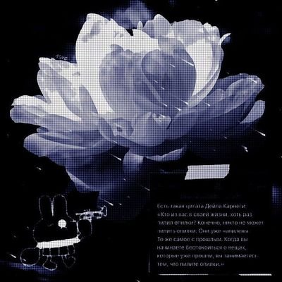 Julezzy's profile picture. ( ´ - ` ）zZ . . #🍳テテ. . . ?!