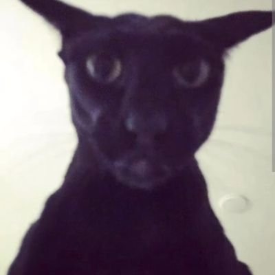 Ralrisio's profile picture. 