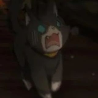 Mewtwonies's profile picture. 