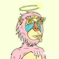 fetcean's profile picture. Software engineer