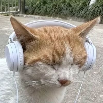 koafbo's profile picture. 교수님, 락스타, 부모님