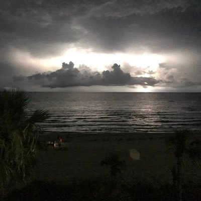 WHAT_tAF_'s profile picture. sick sad world