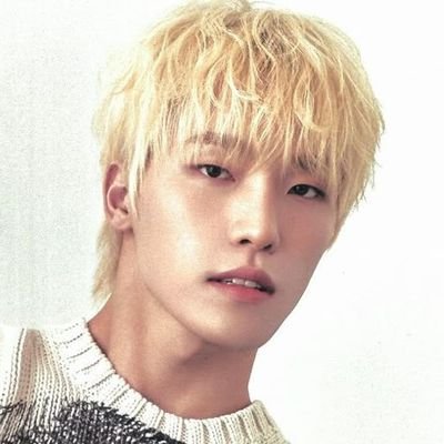 dinoroll's profile picture. currently: getting to know seventeen