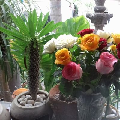 lizarraga877135's profile picture. Queretaro