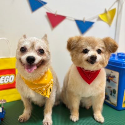 DXTEEN 平本健 熱心なおたく 子育て世代　あゆけん狂い 在籍: NICO写真部 #けーフォト NICOフェス部　無言フォローご自由に　通知死んでるのでご用の方ご挨拶はお気軽にリプDMまで