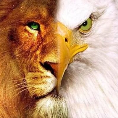 july_m91392's profile picture. Slave of Christ (christian minister), naturalist.