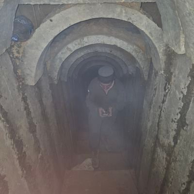 MsyRy67552's profile picture. אַחֵיכֶם יָבֹאוּ לַמִּלְחָמָה וְאַתֶּם תֵּשְׁבוּ פֹה.