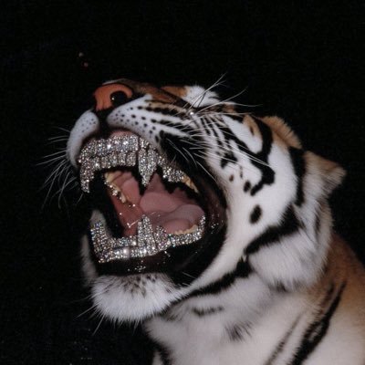 blacklodge222's profile picture. “I’ll take what I want and leave the rest, just like your American salad bar”