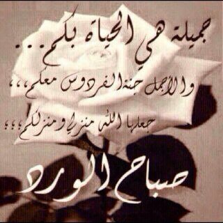 elmerdashy's profile picture. 