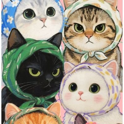 skyofbridge's profile picture. 