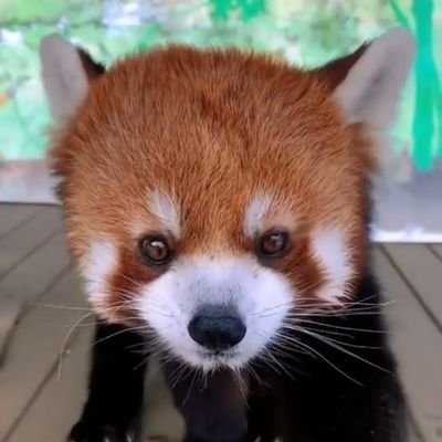 TicksLeeches20's profile picture. 