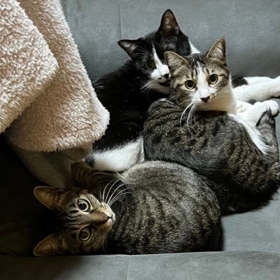 meronchaaaaa's profile picture. 