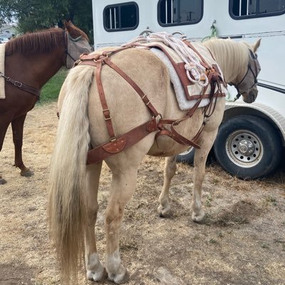 Wildthree3's profile picture. 