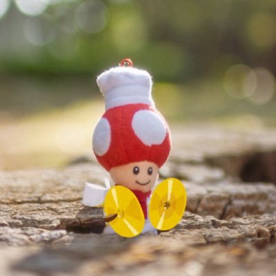 chikuwa_cosplay's profile picture. 🍄シェフ愛好家🍄 成人済 中部 衣装造形カメラもやる：@santa_traveler ﾏﾓｸﾗ F外🔕 新規🔺