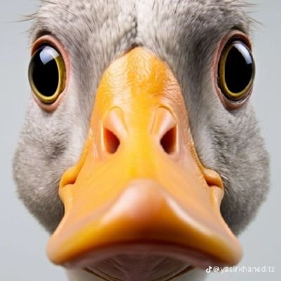 Zeezoski01's profile picture. 