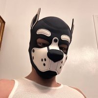 狗零食 (@goulingshi) 's Twitter Profile Photo