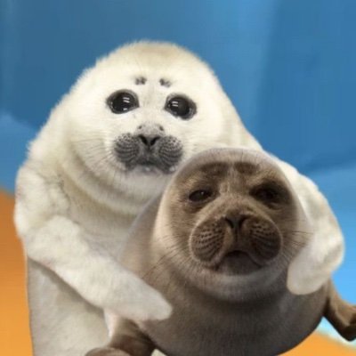 nerpadreams's profile picture. 🦭🍉 #sealtwt
he/they/she 
16+ sensitive content
I love my wife @human_botfly
art, fashion, they-blogging