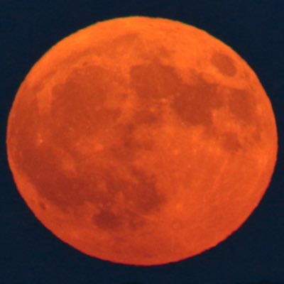 sharutia_0505's profile picture. 